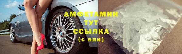 прущие грибы Пересвет
